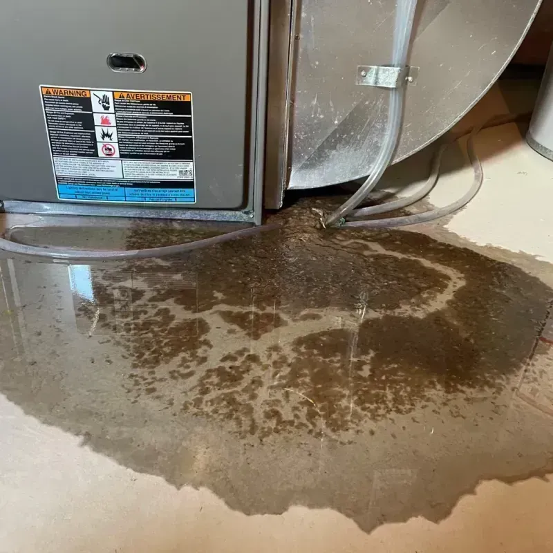 Appliance Leak Cleanup in Havana, IL